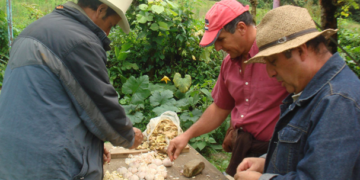 Capacitan a indígenas costarricenses en agroecología