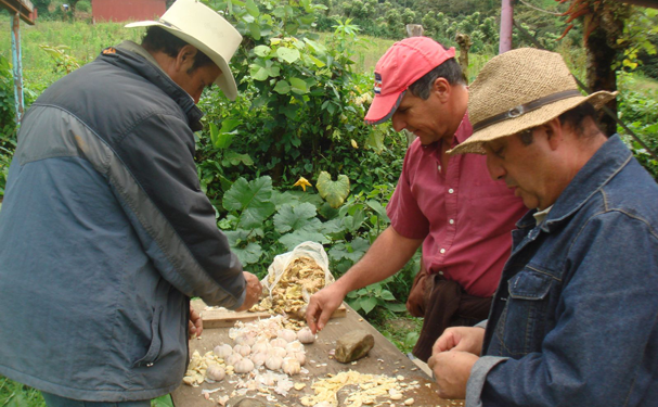 Capacitan a indígenas costarricenses en agroecología