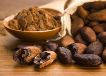 Crean clúster de innovación y tecnología para ofrecer “el mejor chocolate del mundo”