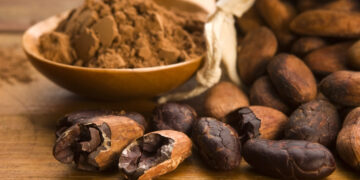 Crean clúster de innovación y tecnología para ofrecer “el mejor chocolate del mundo”