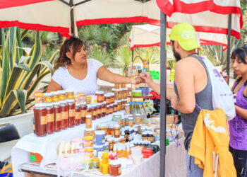 Domingo Verde en bosques de la CDMX