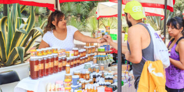 Domingo Verde en bosques de la CDMX