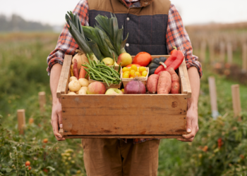 EcoAgro implementa el Taller Internacional de orgánicos en Sinaloa
