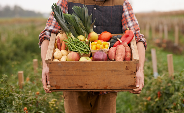 EcoAgro implementa el Taller Internacional de orgánicos en Sinaloa