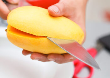 Estudiantes mexicanas crean plástico biodegradable con cáscara de mango