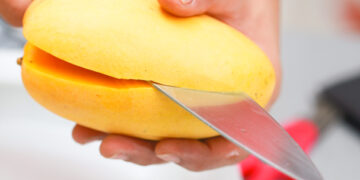 Estudiantes mexicanas crean plástico biodegradable con cáscara de mango