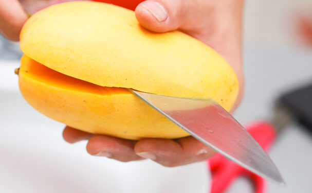 Estudiantes mexicanas crean plástico biodegradable con cáscara de mango