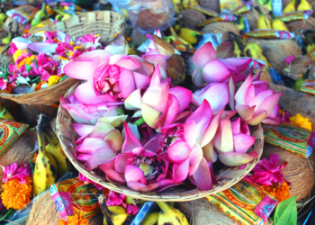 HelpUsGreen: un ejemplo de sostenibilidad e inclusión social en India