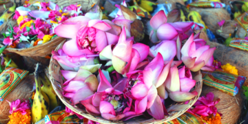 HelpUsGreen: un ejemplo de sostenibilidad e inclusión social en India