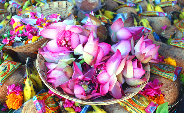 HelpUsGreen: un ejemplo de sostenibilidad e inclusión social en India