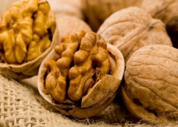 Investigadores estadounidenses descifran el genoma de la nuez