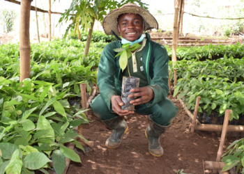Jóvenes nigerianos crean ONG de producción orgánica