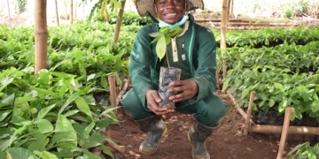 Jóvenes nigerianos crean ONG de producción orgánica