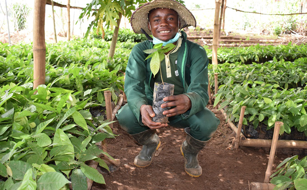Jóvenes nigerianos crean ONG de producción orgánica