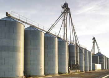 La Sader busca optimizar el manejo de granos básicos en sur del país