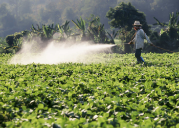 Senasica y Cofepris actualizarán regulación sobre plaguicidas