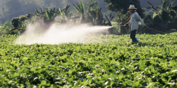 Senasica y Cofepris actualizarán regulación sobre plaguicidas