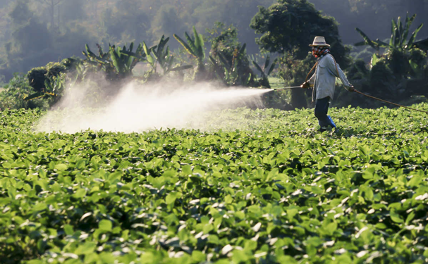 Senasica y Cofepris actualizarán regulación sobre plaguicidas