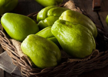 Híbrido de chayote contra el cáncer