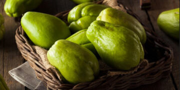 Híbrido de chayote contra el cáncer