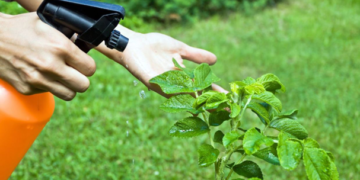 Con bioinsecticidas buscan mejorar la calidad de vida