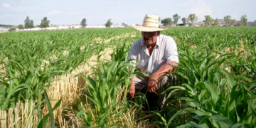 Destaca la FAO valor de la sanidad vegetal para proteger la vida