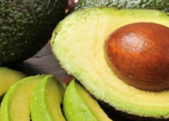 EEUU se quedaría sin aguacate por cierre de frontera con México