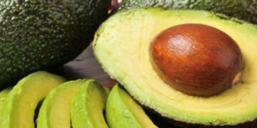 EEUU se quedaría sin aguacate por cierre de frontera con México