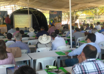 EcoAgro propone modelos agrícolas sostenibles