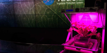 Ingeniero mexicano busca transformar la agricultura en el espacio