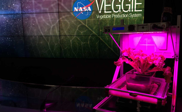 Ingeniero mexicano busca transformar la agricultura en el espacio