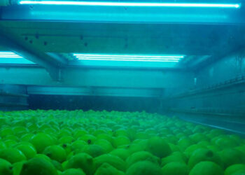 Nuevo proceso de lavado hortofrutícola sin agua