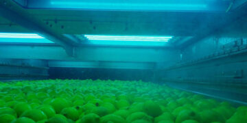 Nuevo proceso de lavado hortofrutícola sin agua