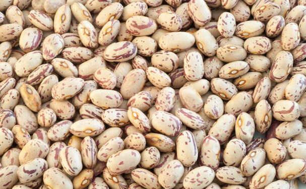 Proyectan Sader y Cimmyt silos para pequeños productores de granos