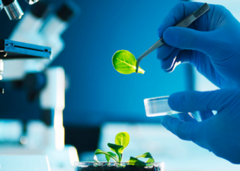 CoMaBio y la FND apoyarán proyectos sostenibles de agrobiotecnología