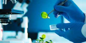 CoMaBio y la FND apoyarán proyectos sostenibles de agrobiotecnología