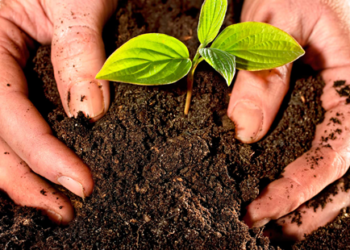 Especialistas de AL y Asia se suman al movimiento agroecológico