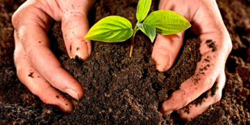 Especialistas de AL y Asia se suman al movimiento agroecológico