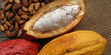 Alimentos en riesgo de desaparecer por el cambio climático