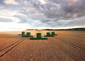 ¿Crisis global por la agricultura industrial?