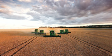 ¿Crisis global por la agricultura industrial?