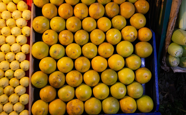 Sader lanza campaña contra plagas reglamentadas de los cítricos