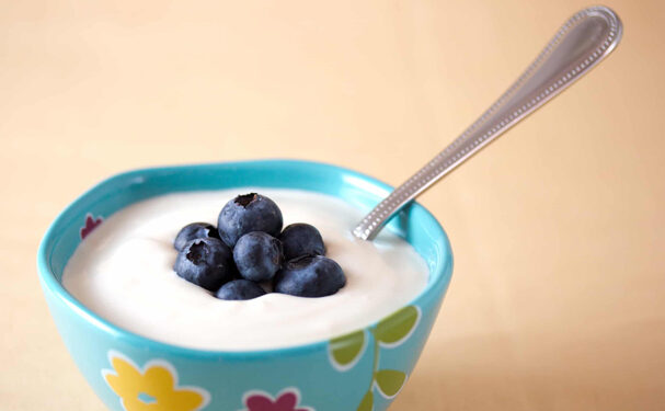 Productoras mixtecas, a la conquista de mercados gourmet con chile tabiche