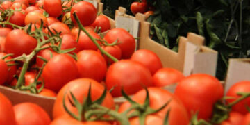 EU cobrará impuesto compensatorio al tomate mexicano