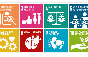 Productoras mixtecas, a la conquista de mercados gourmet con chile tabiche