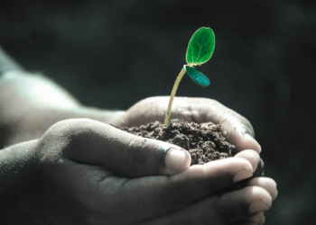 La FAO urge a implementar mecanismos para detener la erosión