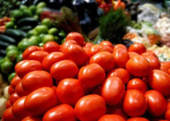 Por cuota compensatoria, bajará el precio del tomate en México