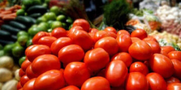 Por cuota compensatoria, bajará el precio del tomate en México