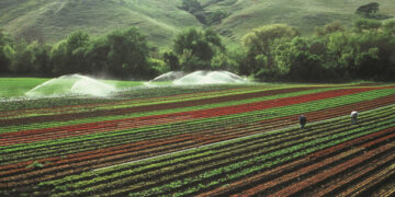 Reutilización del agua ante los retos agrícolas