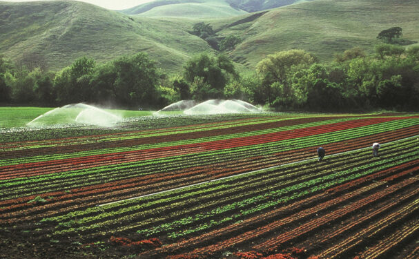 Reutilización del agua ante los retos agrícolas